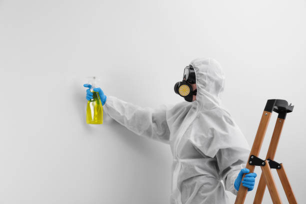 Best Industrial Mold Remediation in Brookwood, AL